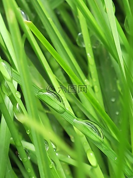 滴,背光,太陽(yáng)