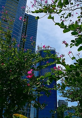 景觀,建筑物,結(jié)構(gòu)