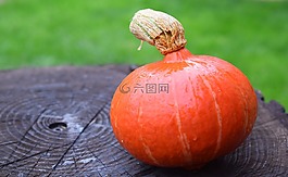 南瓜,秋季,萬圣節(jié)