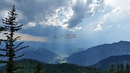 云,看,樹