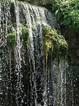 大瀑布,水,苔