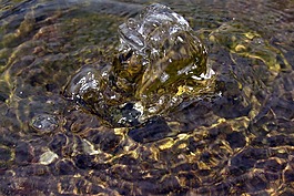 水,噴泉,池