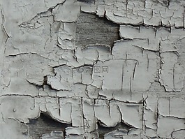背景,壁紙,干