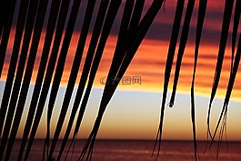 日落,地平線,天空