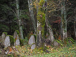 軍事公墓,墳墓,老
