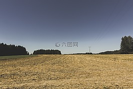 字段,耕地,收獲