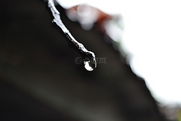 一滴水,下降,水