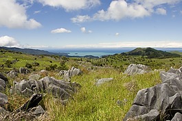 新西蘭,海岸,視圖