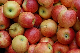 蘋(píng)果,紅色,水果