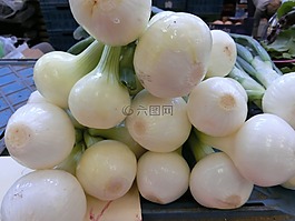 洋蔥,蔬菜,健康