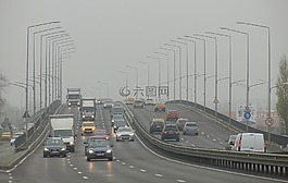 汽車,路,霧
