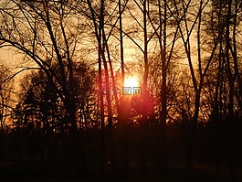 太阳,的stromovka,西