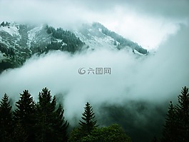 高山,霧,雪