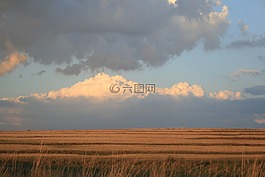 原野,單位,outstreched