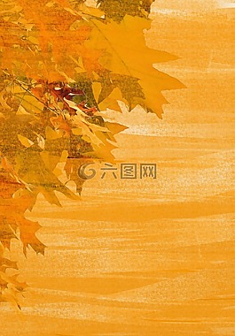 秋季,豐富多彩,出現(xiàn)