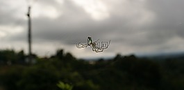 圖像,變化,地區(qū)