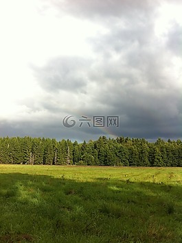彩虹,夏天,大自然