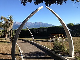 新西蘭,鯨魚的骨骼,山