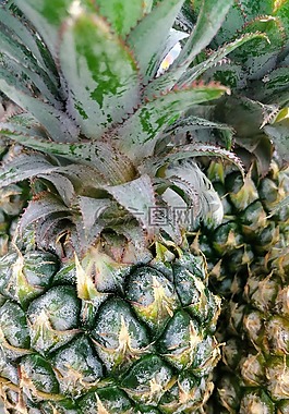 菠萝,纹理,尖刺