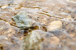 河,水,當前