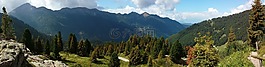 山,全景,高山