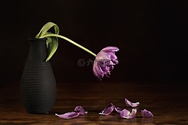 自然死,花,郁金香