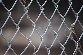 籬笆,鐵,特寫