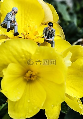 黃色,微型,圖