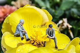 黃色,微型,圖