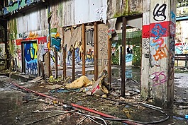 丟失的地方,客房,離開
