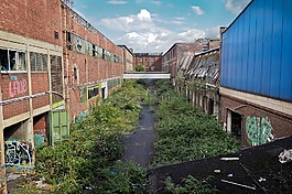 丟失的地方,客房,離開