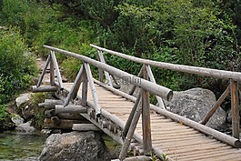 橋,木,河