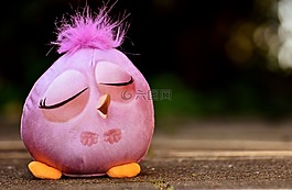 鳥(niǎo),毛絨玩具,滑稽