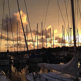 海港,herkingen,grevelingen