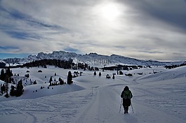 高山休斯山,seiseralm,雪