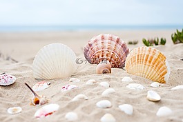 海灘,沙,海洋