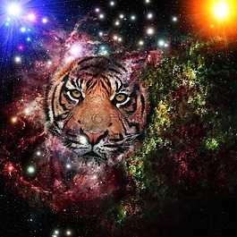 星系,虎,宇宙