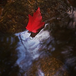 自然,河,紅色