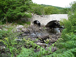 橋,景觀,過獨身生活
