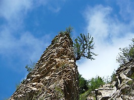山,阿爾卑斯山,山高