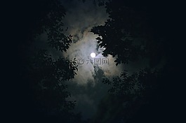 月亮,云,夜景