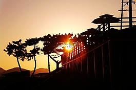 夜景,太陽(yáng)能,陽(yáng)光