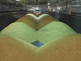麥芽過程,準(zhǔn)備,原材料
