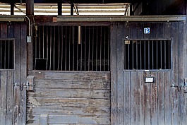 馬穩(wěn)定,谷倉,農(nóng)場