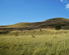 堡,山,veld