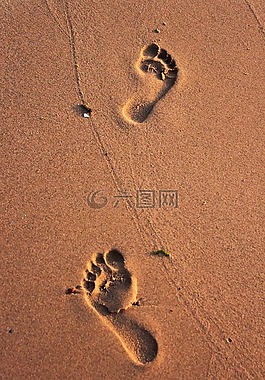 海灘,iz,足跡