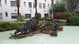 雕像,水,植物
