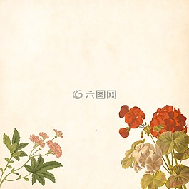 花,背景,釀酒