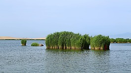 碧落,沙海,风景