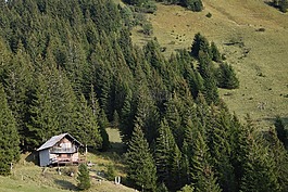 木屋,山,草甸